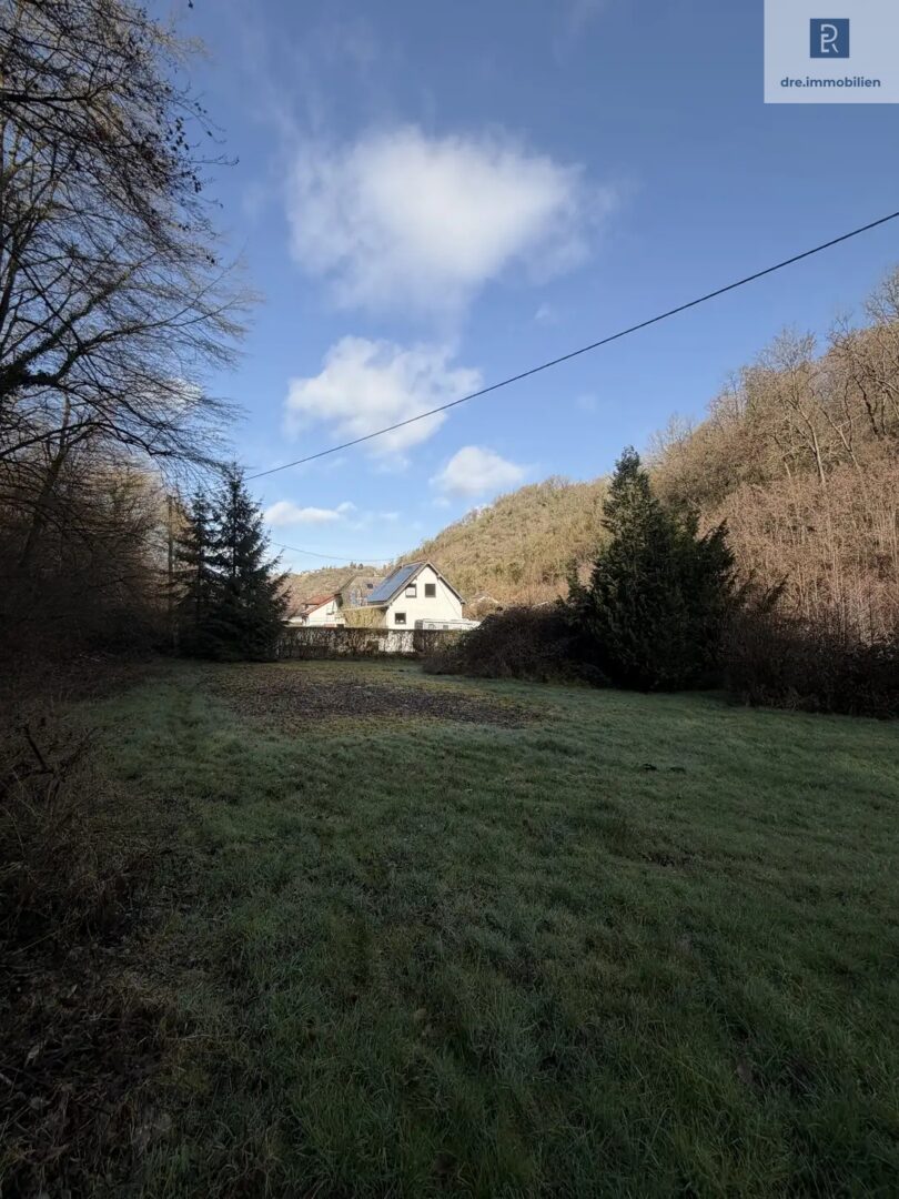 Blick aufs Grundstück (Gegenseite)