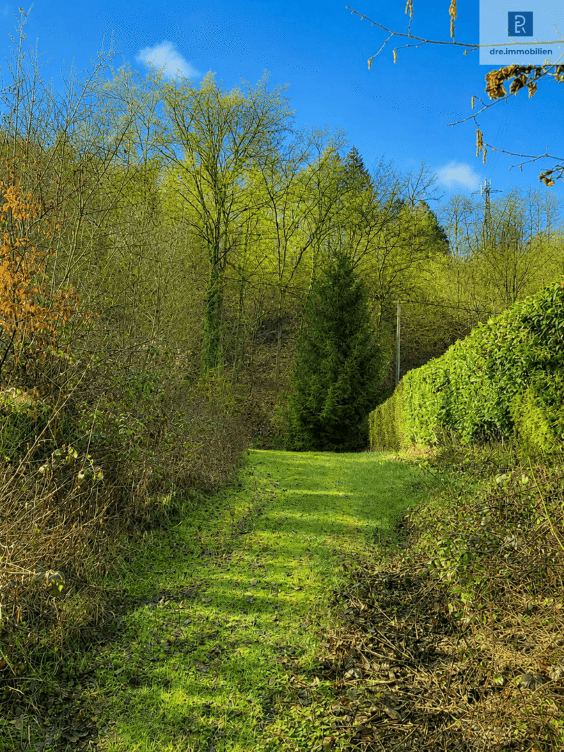 Blick über die Grundstücksfläche in Richtung angrenzender Grün- und Waldflächen (Originalaufnahme des Grundstücks. Das Bild wurde mithilfe künstlicher Intelligenz hinsichtlich Helligkeit, Farbwirkung und Bildqualität optimiert. Die tatsächlichen Gegebenheiten vor Ort wurden nicht verändert.)